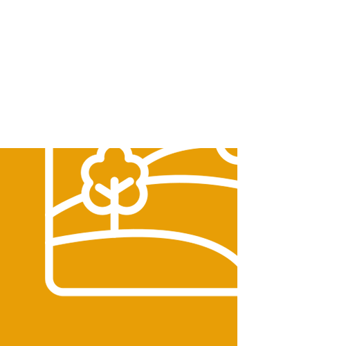 Three Dedicated Lawns